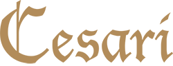 logo-CESARI-DEF
